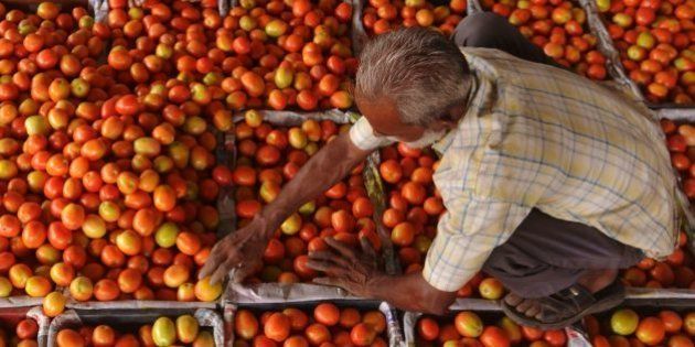 An Indian labourer fills plastic crates with tomatoes before they are repacked to be sold at a wholesale fruit and vegetable market on the outskirts of AmritsarÂ on June 16, 2016.India's consumer prices rose faster than expected in May due to higher food costs, official figures showed, which will likely lead the central bank to hold off lowering interest rates. The inflation rate increased to 5.76 percent from a year earlier, substantially higher than the 4.8 percent recorded in March and 5.4 percent in April, reported the statistics ministry. / AFP / NARINDER NANU (Photo credit should read NARINDER NANU/AFP/Getty Images)