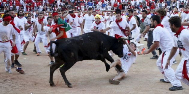 A wild cow charges at a reveller after the last running of the bulls of the San Fermin festival in Pamplona, northern Spain, July 14, 2015. Five runners were hospitalized following the run that lasted two minutes and four seconds, according to local media. REUTERS/Joseba Etxaburu
