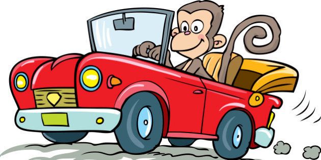 Illustration of monkey driving car.