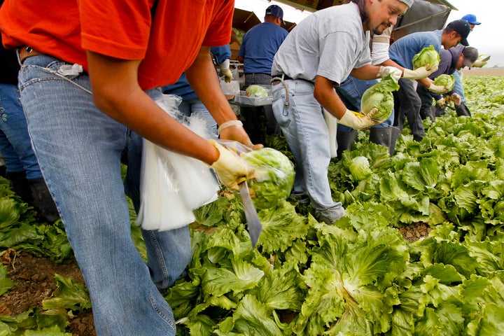 Workers harvest iceberg lettuce at a California farm for the Nunes Company, which handles more than 20,000 crop acres of various fresh vegetables annually.