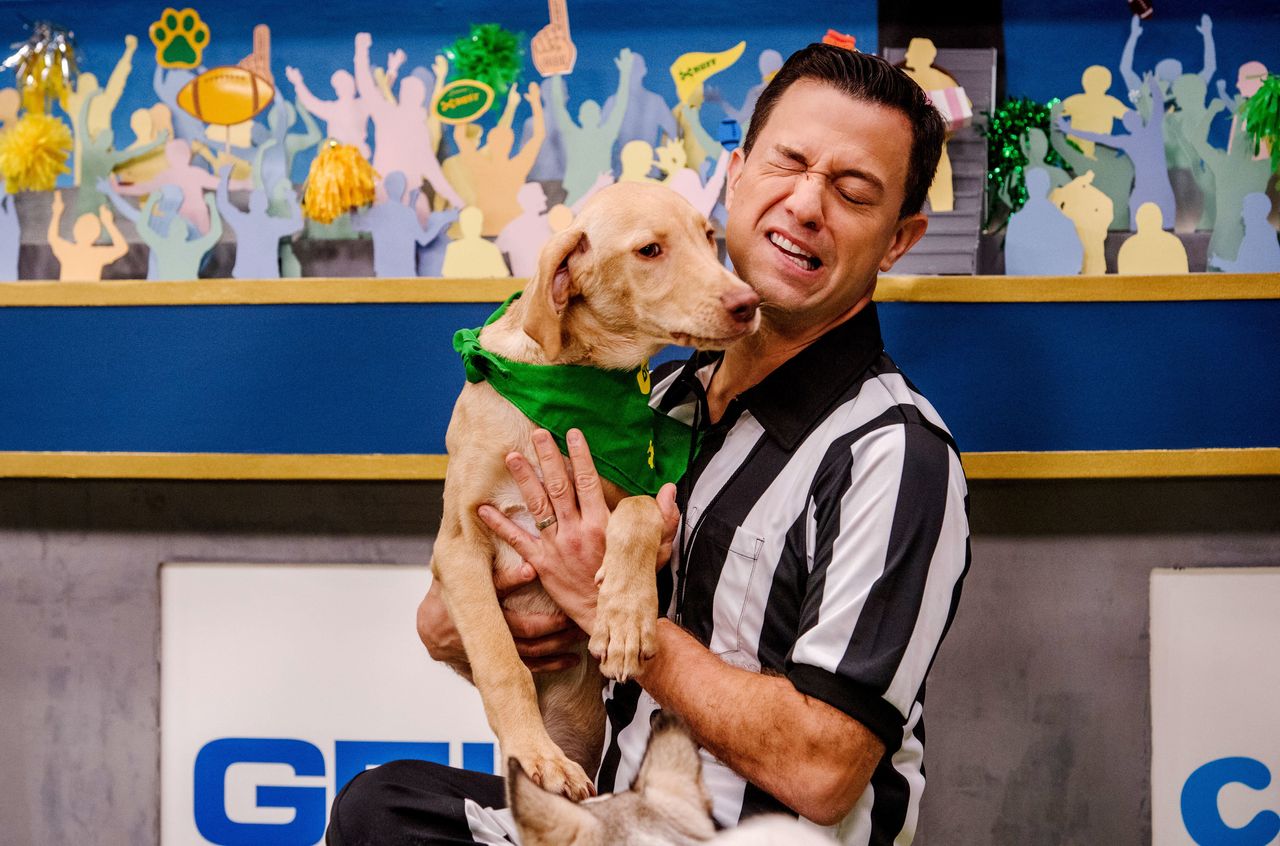 Dan Schachner, aka Dan the Ruff-eree, holds up touchdown-scorer Hank during the filming of the Puppy Bowl in New York City on Oct. 16, 2018. The Puppy Bowl is filmed months in advance of the actual Super Bowl.