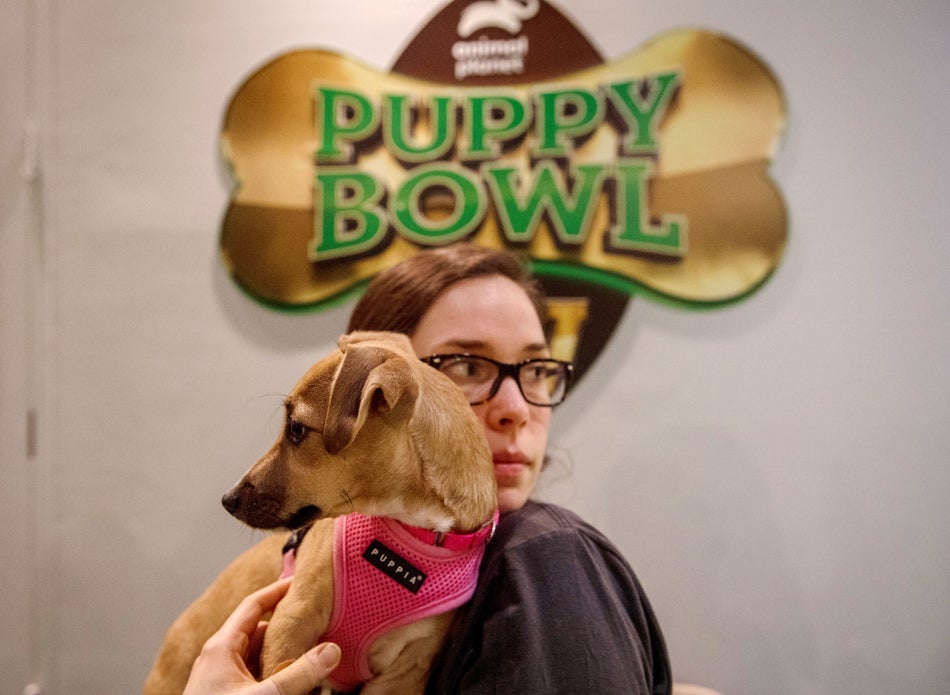 Bella, held by Valerie Moss after being onstage, is a rescue dog from Puerto Rico.