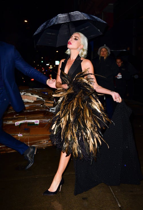 Lady Gaga's Crystal Dress And Feathered Cape Are As Wild And Wonderful As They Sound | HuffPost Entertainment Lady Gaga's Crystal Dress And Feathered Cape Are As Wild And Wonderful As They Sound | HuffPost Entertainment