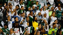 Só a Torcida pode salvar o Palmeiras de si
