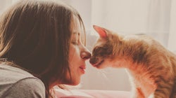 5 mitos das donas de gatos que são muito