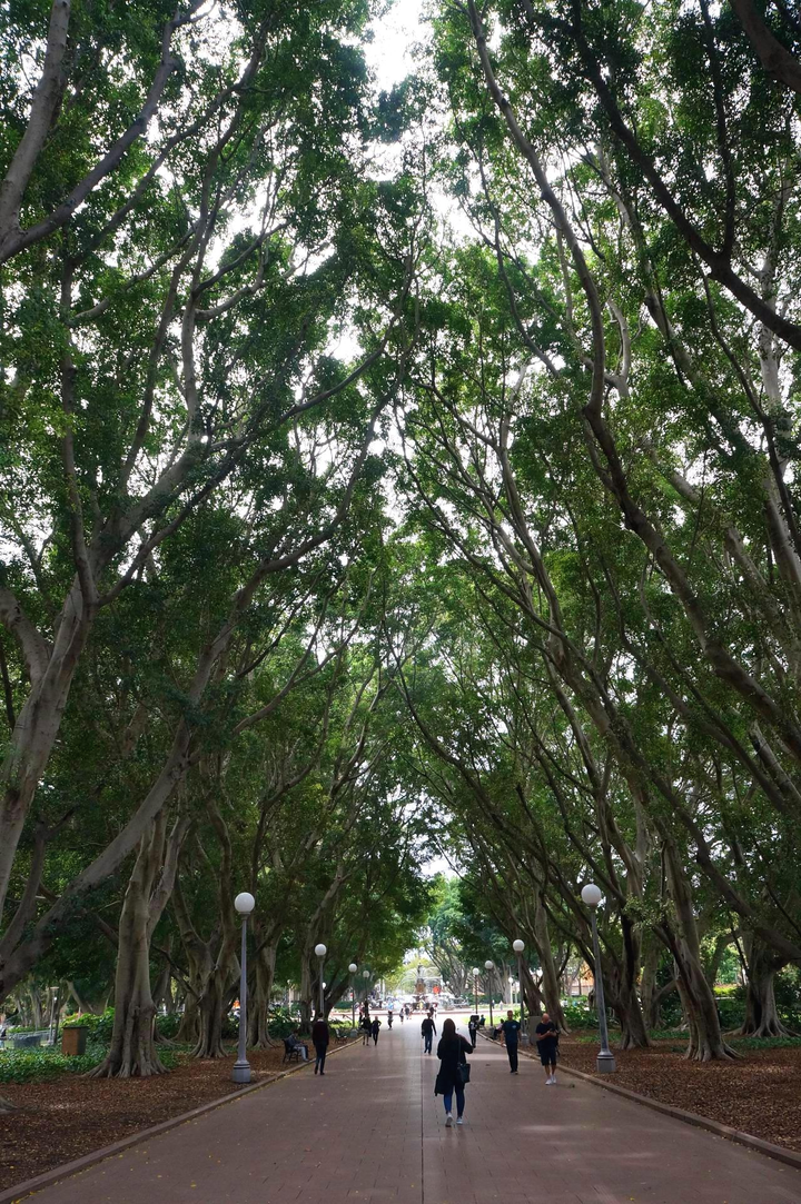 시드니 하이드 공원.