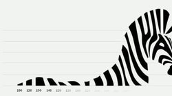 A zebra está solta na Copa! Não deixe acontecer nos seus