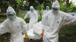 Carta de um espanhol especialista em Ebola, direto de Serra
