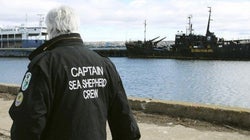 Paul Watson, da Sea Shepherd: 'Quando perguntam minha cidadania eu respondo: