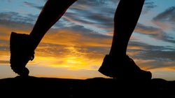 7 dicas úteis para novatos em