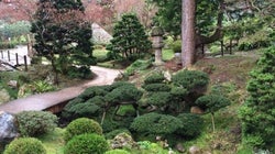 Paris está repleta de jardins secretos, você só precisa saber onde