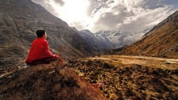 'A revolução mindfulness deve andar junto com a revolução
