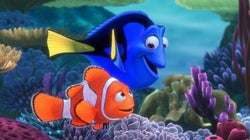 4 teorias de 'Procurando Nemo' que vão te deixar na expectativa para 'Procurando
