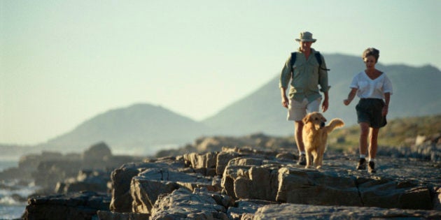 Couple walking on rocky beach with dog