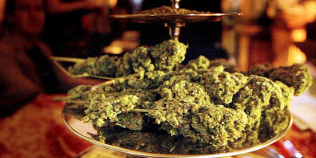 AMSTERDAM, NETHERLANDS: This November 2003 file picture shows cannabis at the yearly 'High Times Cannabis Cup' in Amsterdam. The Netherlands' liberal policy towards so-called soft drugs could change as the government considers a ban on the sale of Dutch-grown cannabis know as Nederwiet, Dutch media reported 06 April 2004. Justice Minister Piet Hein Donner and Health Minister Hans Hoogervorst are reportedly looking into the possibilities for banning the sale of Nederwiet in 'coffee shops' or cannabis cafes because they fear the percentage of tetrahydrocannabinol (THC) -- the active substance in weed and hash-- is so high that cannabis could be classed as a hard drug. AFP PHOTO FILES CONTINENTAL (Photo credit should read CONTINENTAL/AFP/Getty Images)