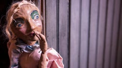 'Passamos pela vida mal arranhando a superfície da