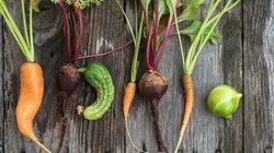 Dar uma chance para frutas e vegetais 'feios' nos fará cidadãos