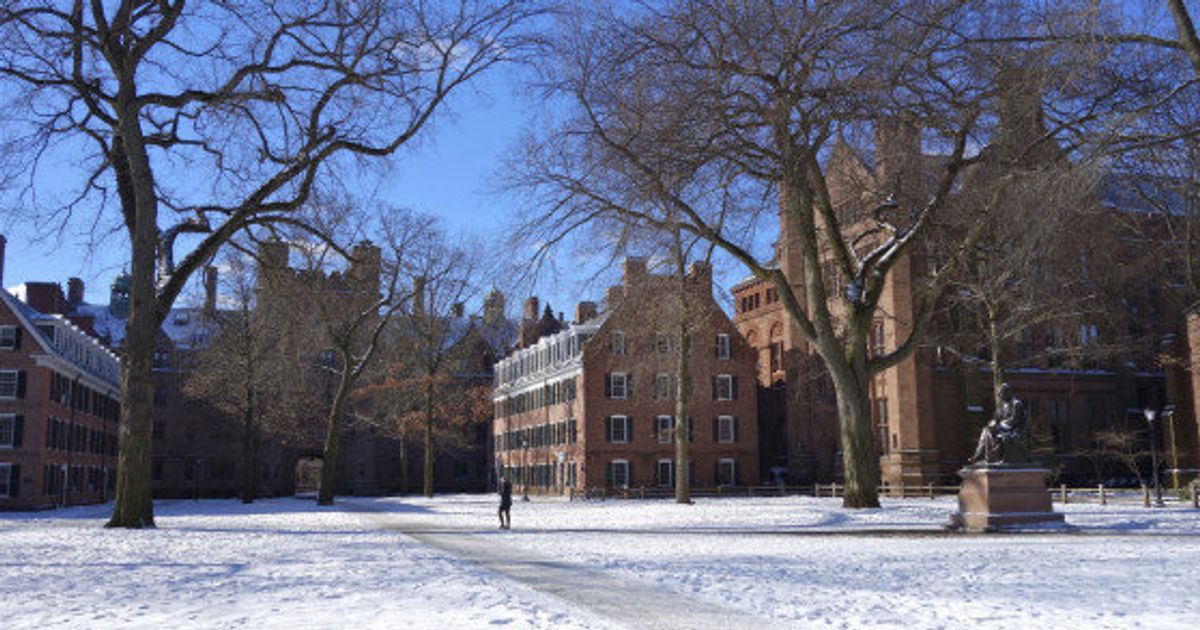 Yale рождественская 30. New haven, Connecticut Йельский университет клиника. Yale University old Campus Dwaight Hall. Yale University old Campus Harkness Tower view. New haven, CT.