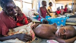 O que o Brasil pode ensinar ao mundo para acabar com a má nutrição e a