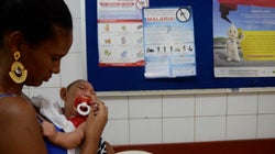 O que você precisa saber sobre o zika