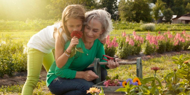 Caucasian grandmother and granddaughter picking flowers on farm