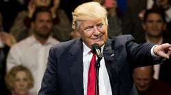 Eu odeio Donald Trump, mas votei nele: Eis o