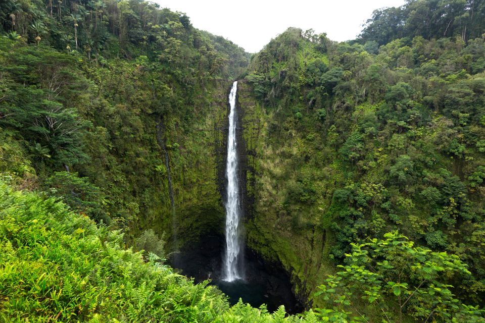 ʻAkaka Falls State Park, Hawaii (Big Island)