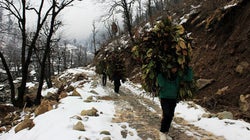 Pictures: Life At A Gujjar Village In