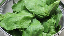 5 Easy, Healthy And Tasty Palak
