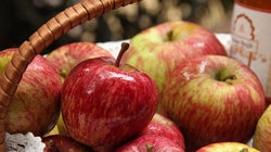 10 Reasons Why Organic Food Is Worth The