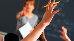 The Teachers All Around