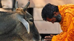 Here's The Unpalatable Truth About Beef And