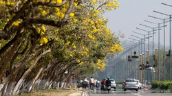 The Secret To A 'Smart City': Lessons From Chandigarh And
