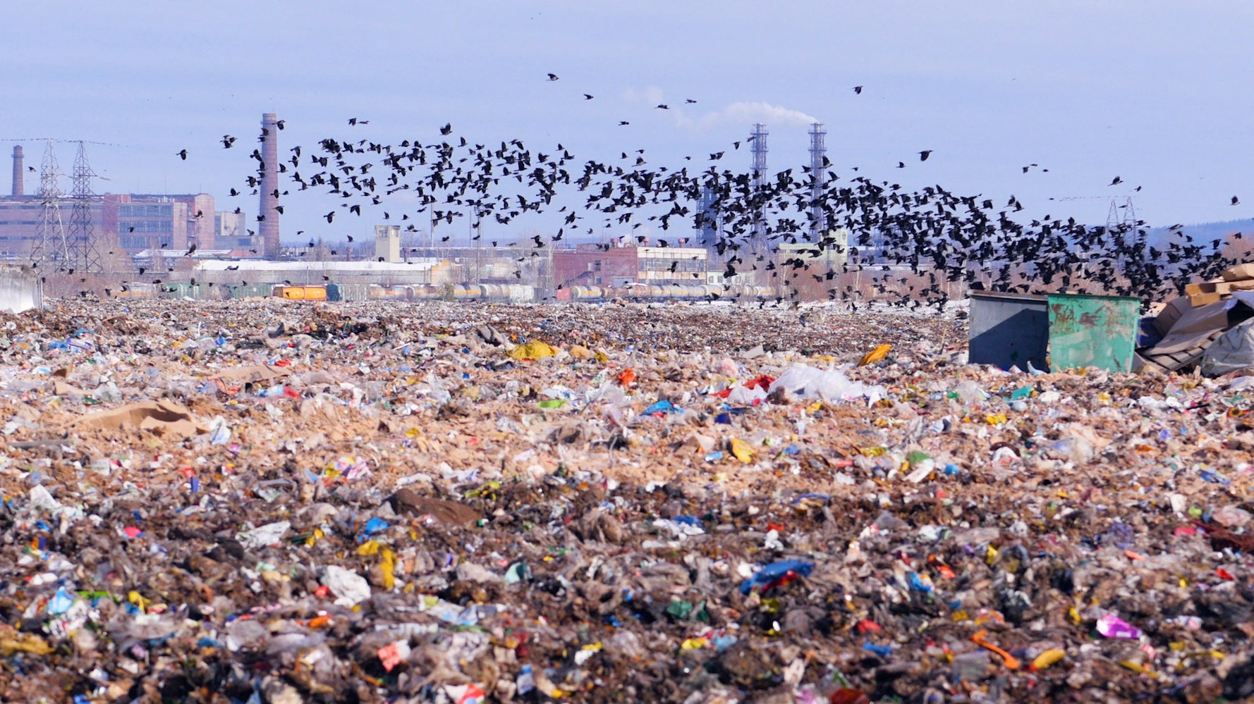 The Shocking State Of UK Food Waste HuffPost UK Life