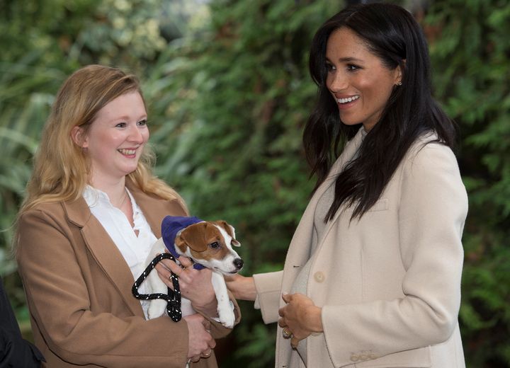 The Duchess of Sussex hanging around with the cute pups at Mayhew in London.