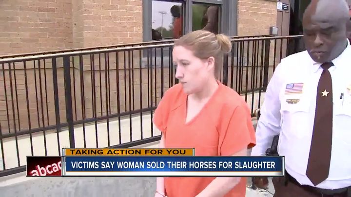 Fallon Danielle Blackwood, seen following an arrest last year, is accused of selling rescue horses to slaughterhouses.