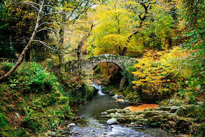 Foley's Bridge in the majestic Tollymore Forest Park.