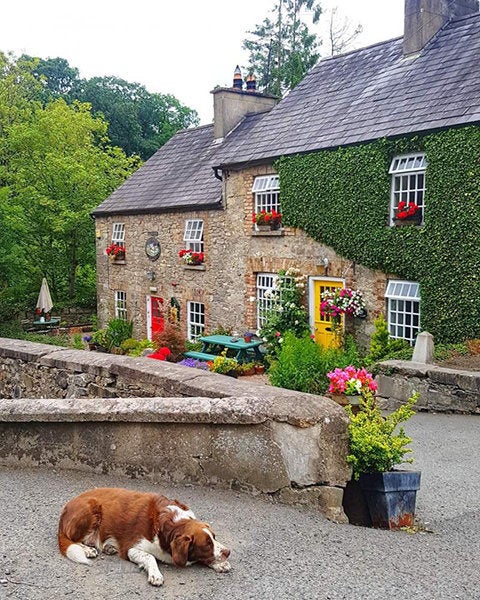 Ambledown Cottage, Glaslough's charming pizzeria.