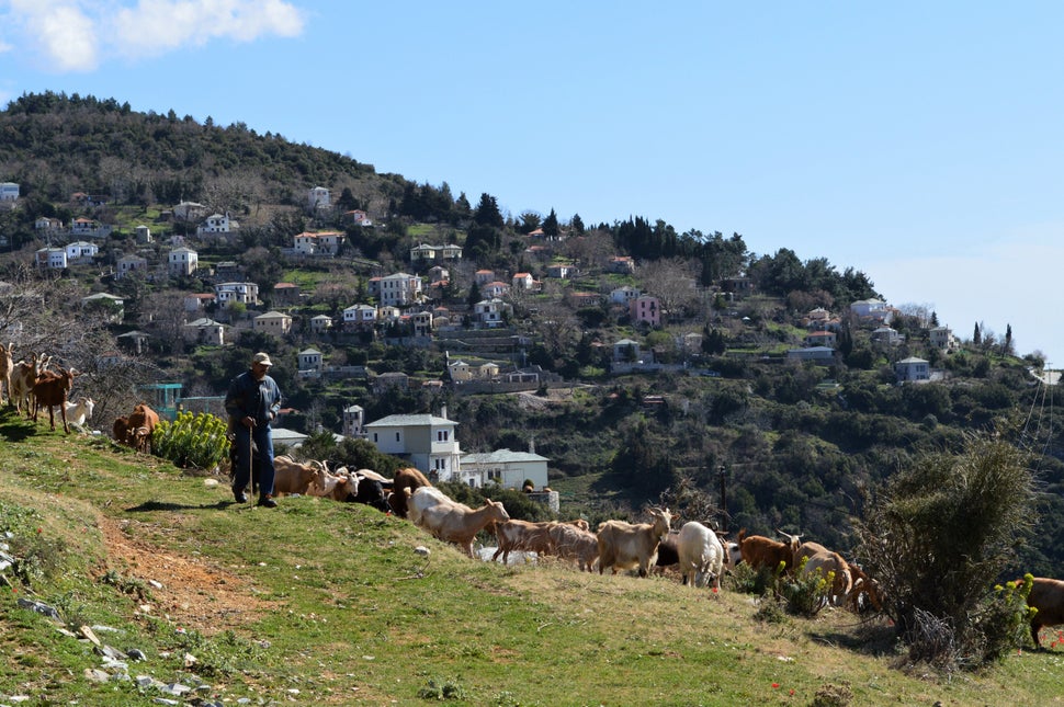 Μια ολιγόλεπτη συνάντηση με το βοσκό στην άκρη του δρόμου θεωρείται από τα ταξιδιωτικά γραφεία (και ίσως και από τους ταξιδιώτες) μοναδική εμπειρία.