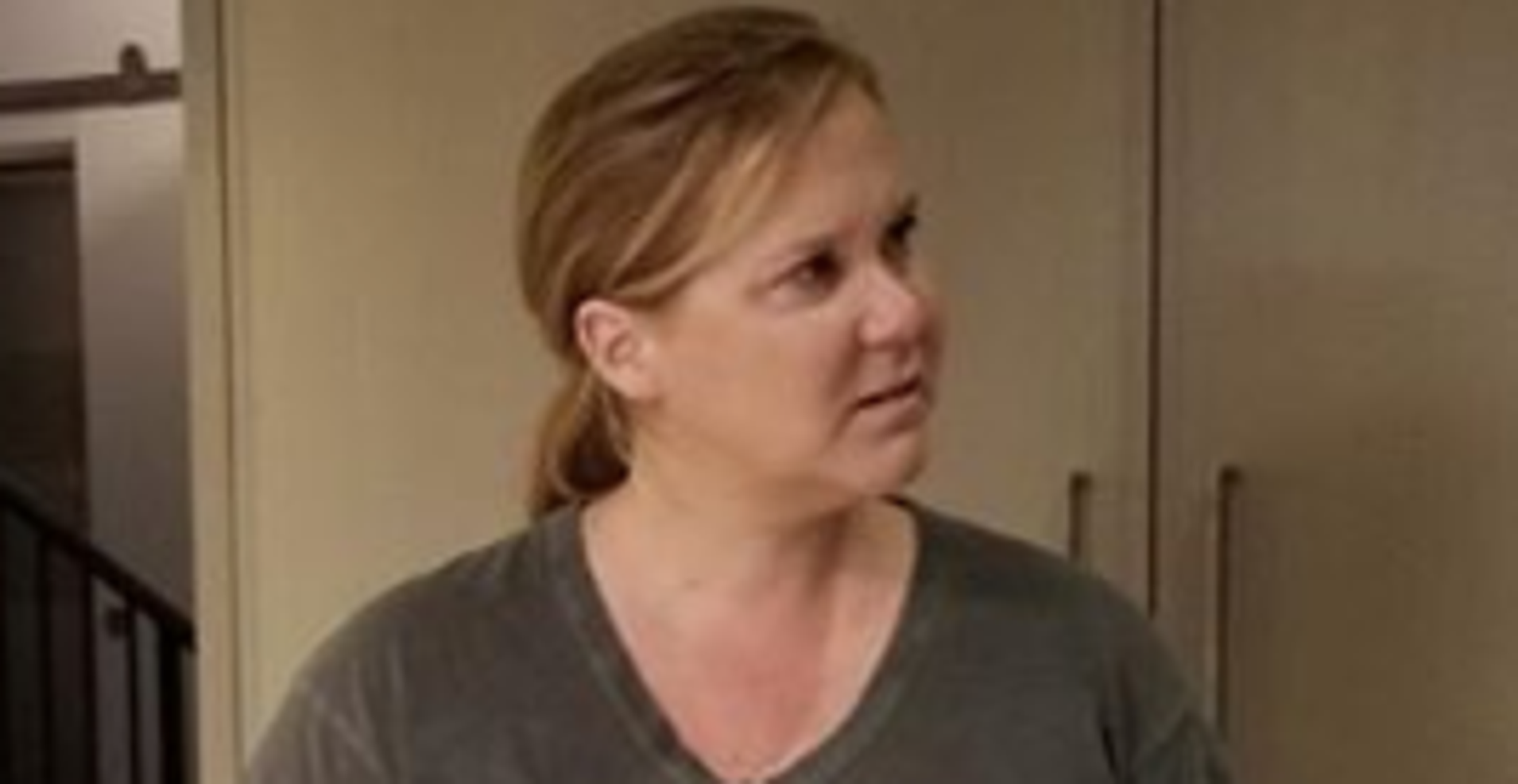 Amy Schumer S Horrifying Baby Shower Cake Even Has A