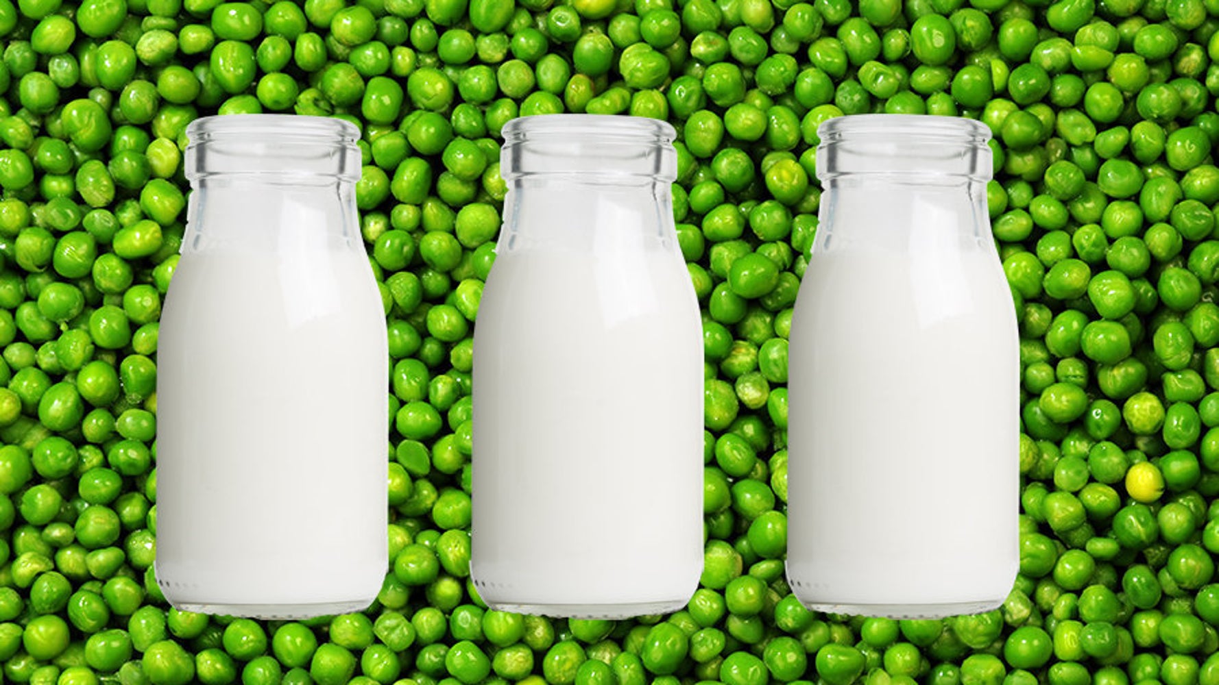 Pea Milk Is Apparently The Next Big Food Trend, But Should It Be