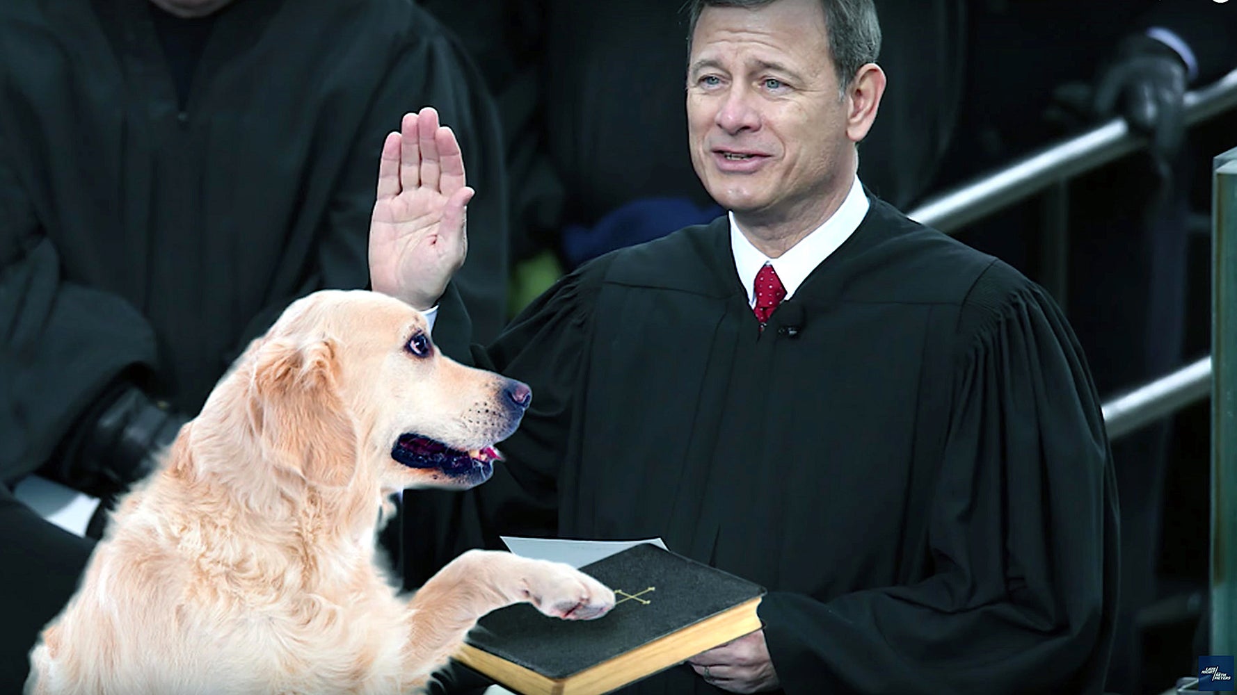 Seth Meyers What Does Trump Have Against Dogs Huffpost
