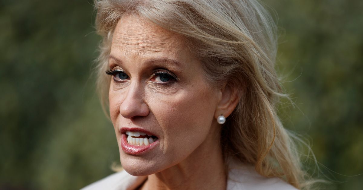 Kellyanne Conway Just Made The Strongest Case For Not Building Trump's Wall