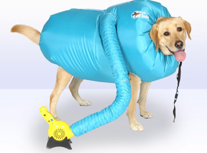 Dog online blow dryer
