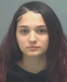 Florida Girl Stole Papa John s Delivery Car To Visit Boyfriend  