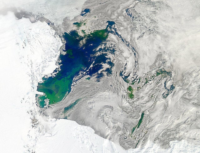 This true-color image captures such a phytoplankton bloom in the Ross Sea on January 22, 2011.