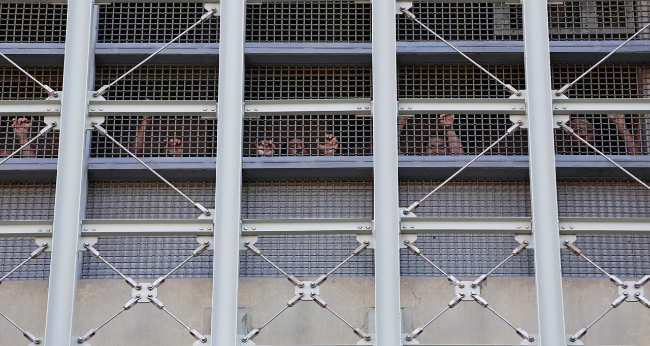 In this Sunday, Feb. 3, 2019, file photo, prisoners at the Metropolitan Detention Center, a federal facility in the Brooklyn borough of New York, respond to family members and people protesting the prison conditions.