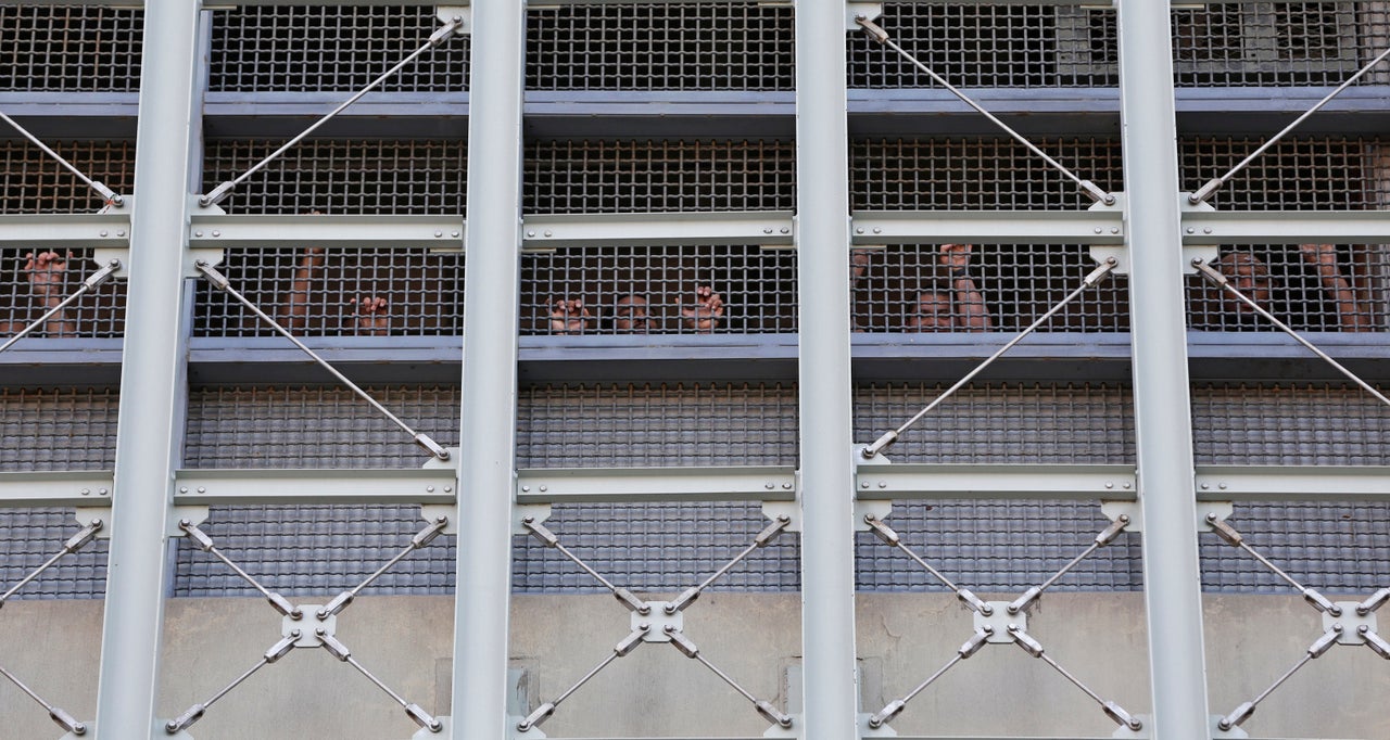 In this Sunday, Feb. 3, 2019, file photo, prisoners at the Metropolitan Detention Center, a federal facility in the Brooklyn borough of New York, respond to family members and people protesting the prison conditions. 