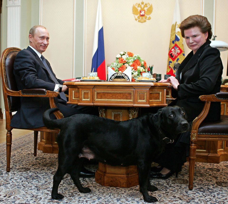プーチン大統領のコニー