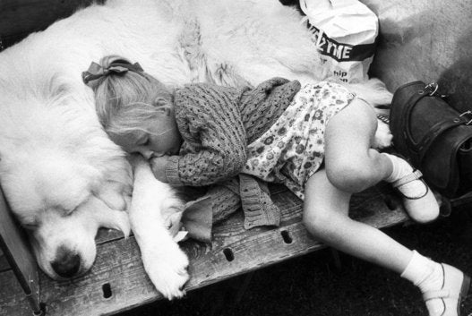 幸せな気持ちになる画像集 子供と動物が 一緒にお昼寝したら 画像集 ハフポスト Life 幸せな気持ちになる画像集 子供と動物が 一緒にお昼寝したら 画像集 ハフポスト Life